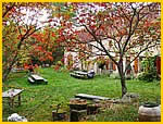 08.jpg