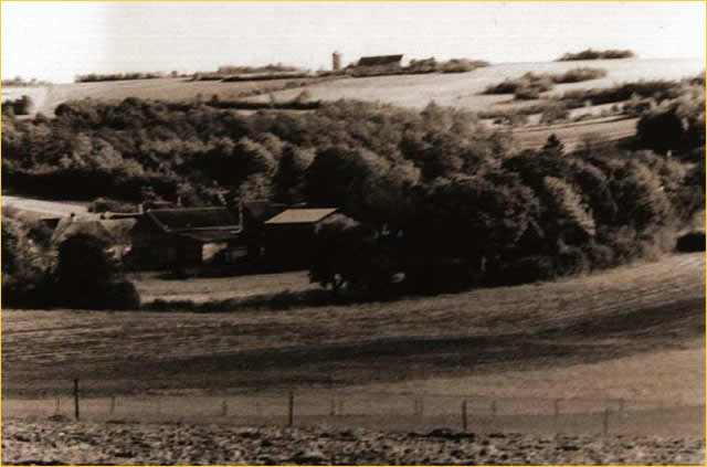 04.jpg