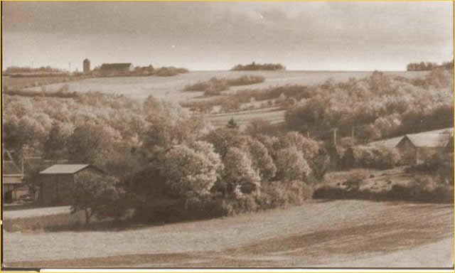 06.jpg